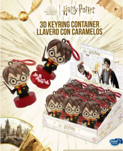 LLAVERO HARRY POTTER